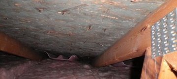 Water Damage San Go 24 7 Disaster Restoration Mold Removal