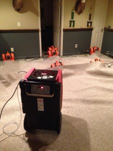 911-Restoration-of-San-Diego-carpet-drying
