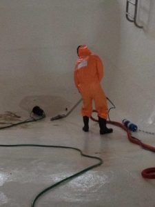 911-Restoration Mold-Cleanup in San Diego