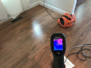 911-Restoration leak-detection-mold-remediation-moisture-device in San Diego