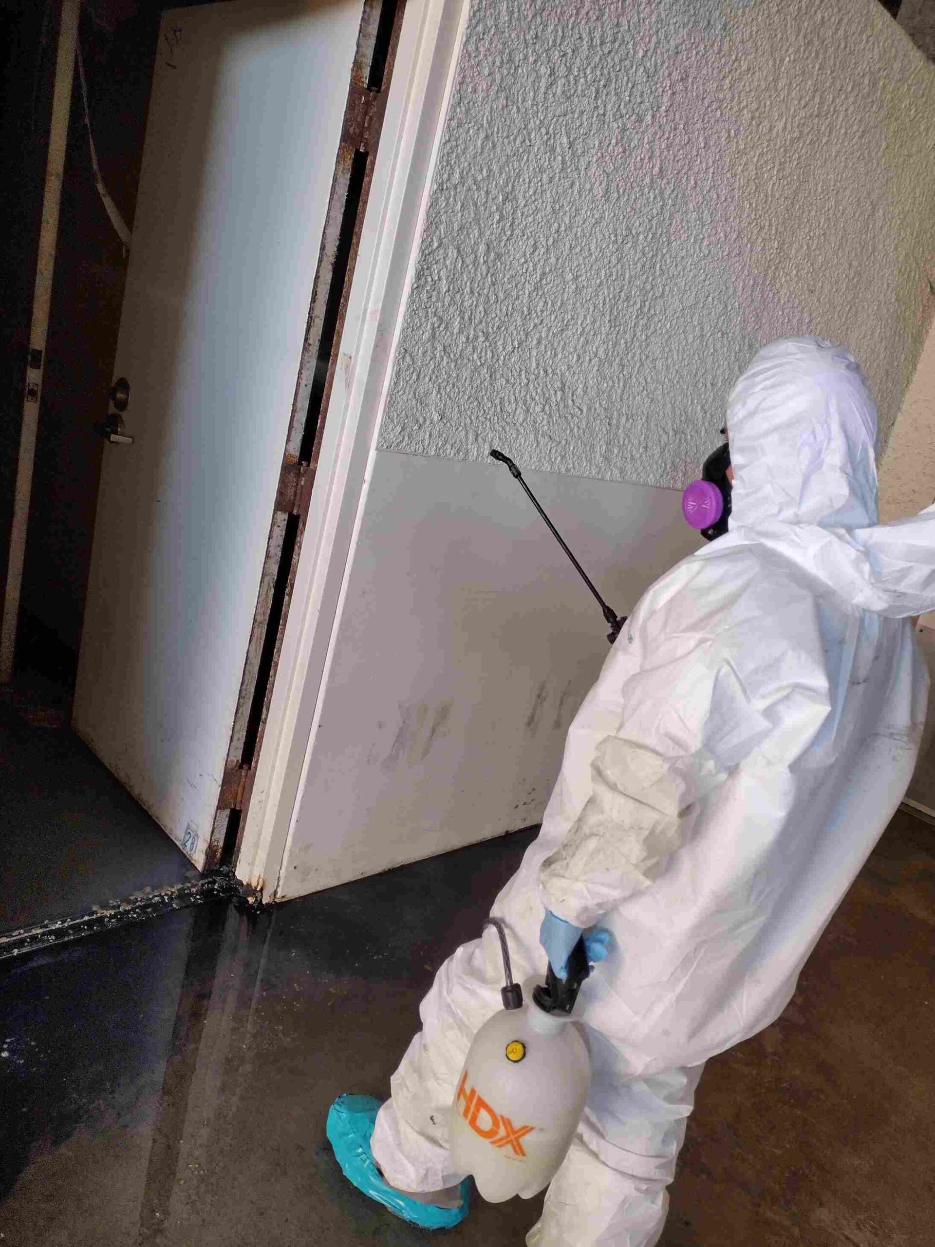 mold experts sanitizing building 911 Restoration San Diego